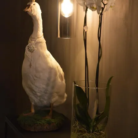 Bed & Breakfast Amato-brugge